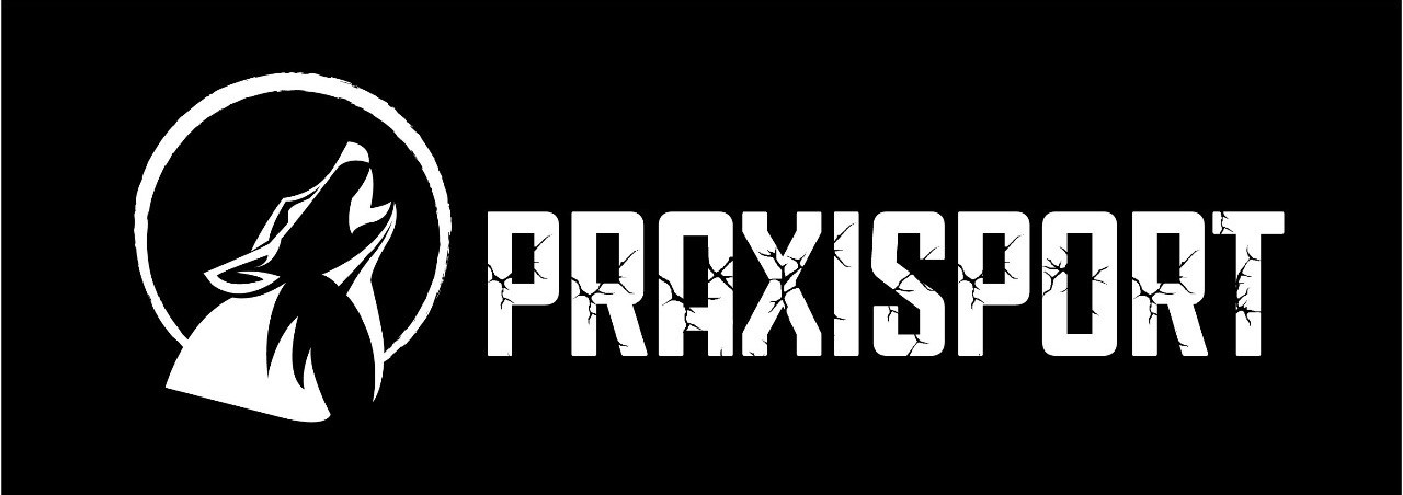 logo-1