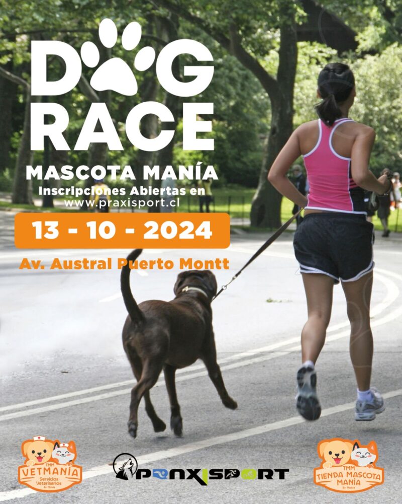 DOG RACE TIENDA MASCOTA MANIA 13 – 10 - 2024 - Imagen 2