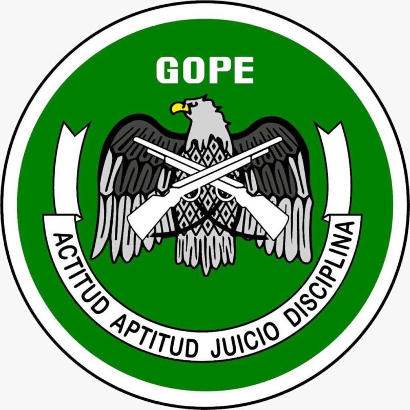 1° CONMEMORACION ANIVERSARIO 46° ESPECIALIDAD GOPE CARABINEROS DE CHILE - Imagen 5